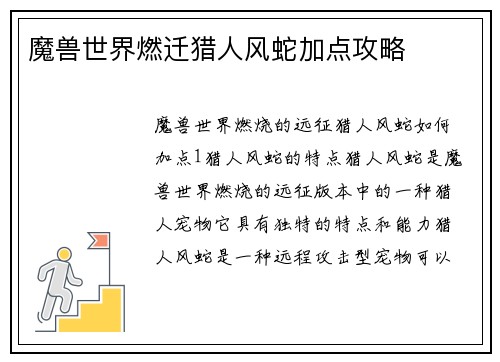 魔兽世界燃迁猎人风蛇加点攻略